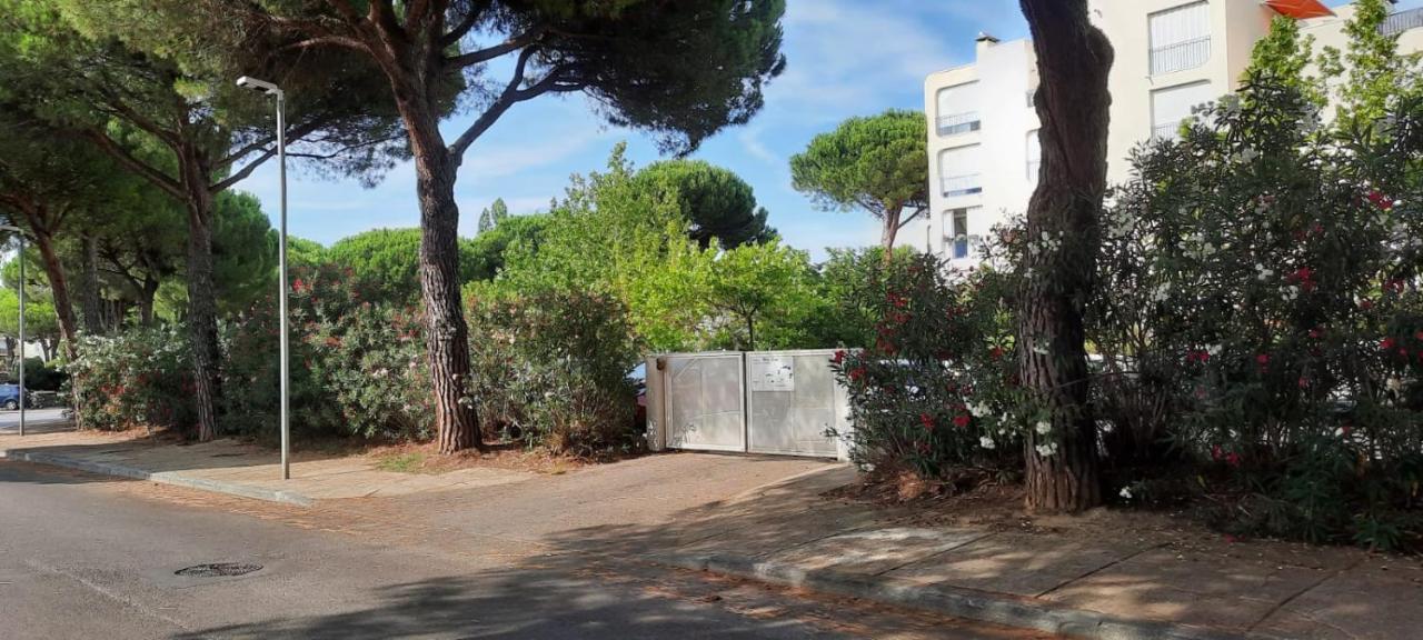 T 2 Mottland 300 M Plage ラ・グランド・モット エクステリア 写真